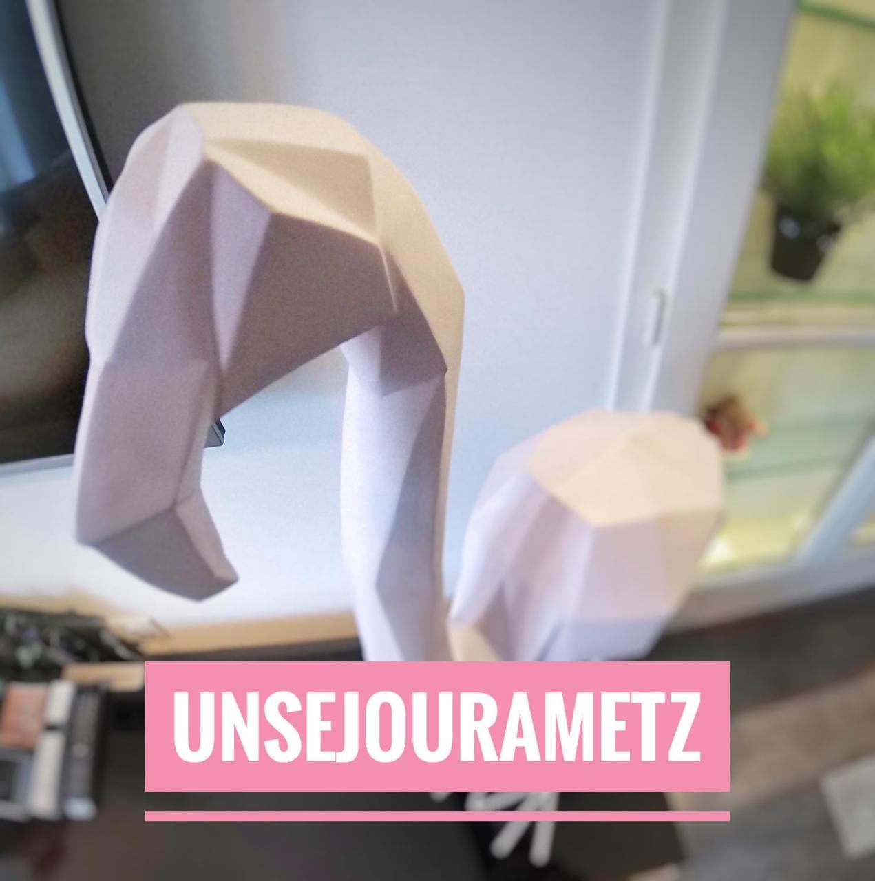 Unsejourametz-Fr Meubles Ossons Du T2 Au T4 Avec Parking, Apartment Екстериор снимка